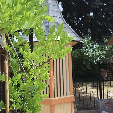 Tanzanit ゲストハウス 3*