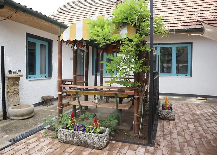 Tanzanit Konukevi